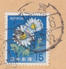 旧菊15円