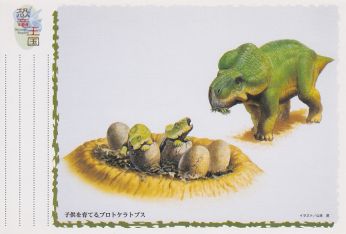 �q��Ă�����v���g�P���g�v�X