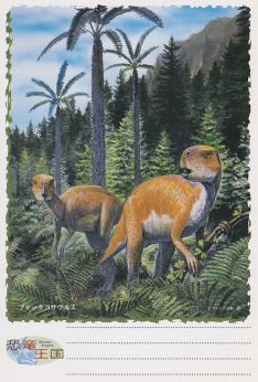 �v�V�b�^�R�T�E���X