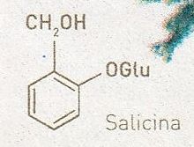 �T���V��