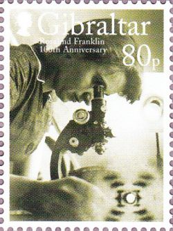 ���U�����h�E�t�����N����